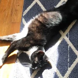 Meet your Posher, Ariel